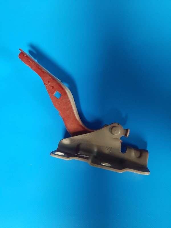 Image alt