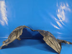 Mudguard NISSAN LEAF 10-17 Left. Front.