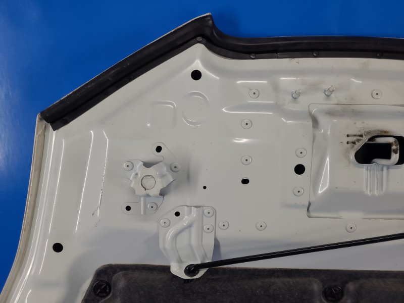 Nissan Leaf hood 10-17