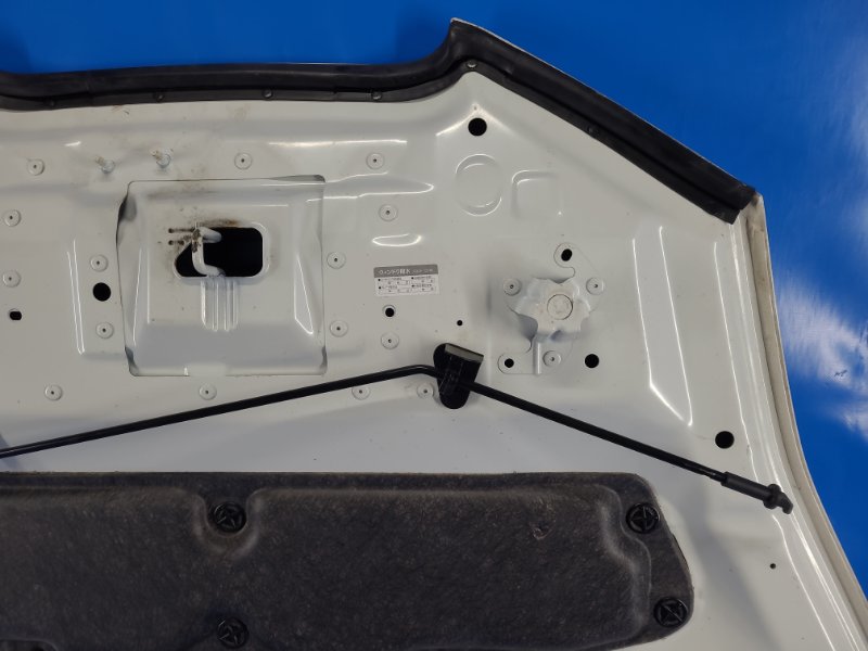 Nissan Leaf hood 10-17