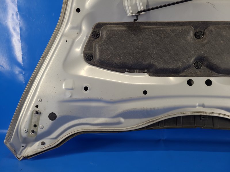 Nissan Leaf hood 10-17