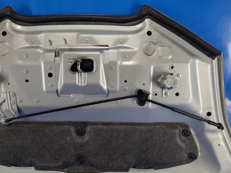 Nissan Leaf hood 10-17