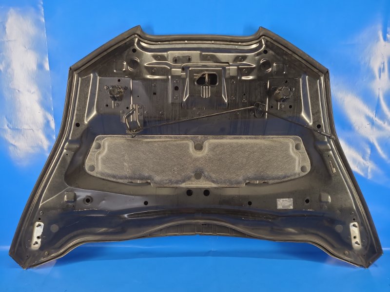 Nissan Leaf hood 10-17