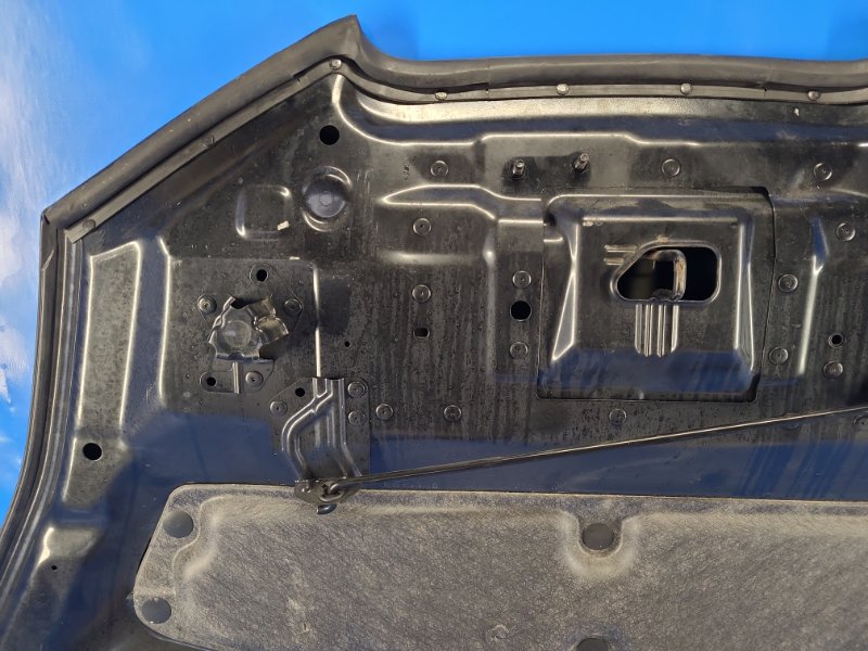 Nissan Leaf hood 10-17