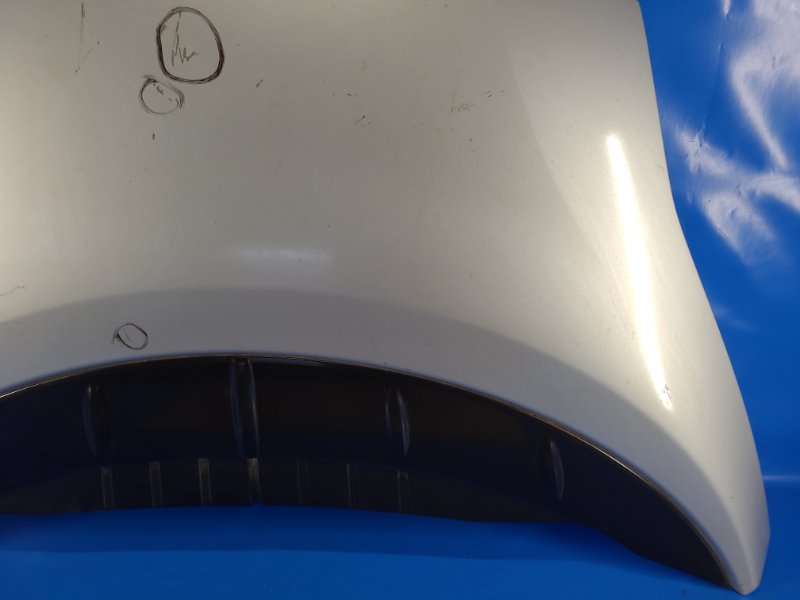 Nissan Leaf hood 10-17