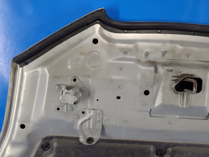 Nissan Leaf hood 10-17