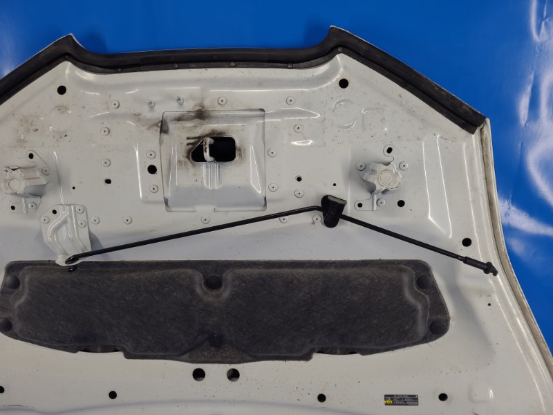 Nissan Leaf hood 10-17