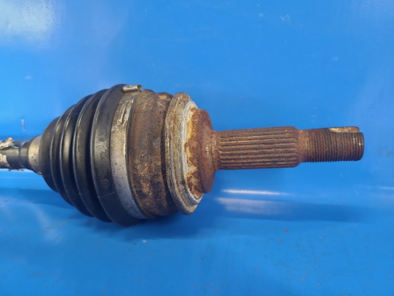 Image alt