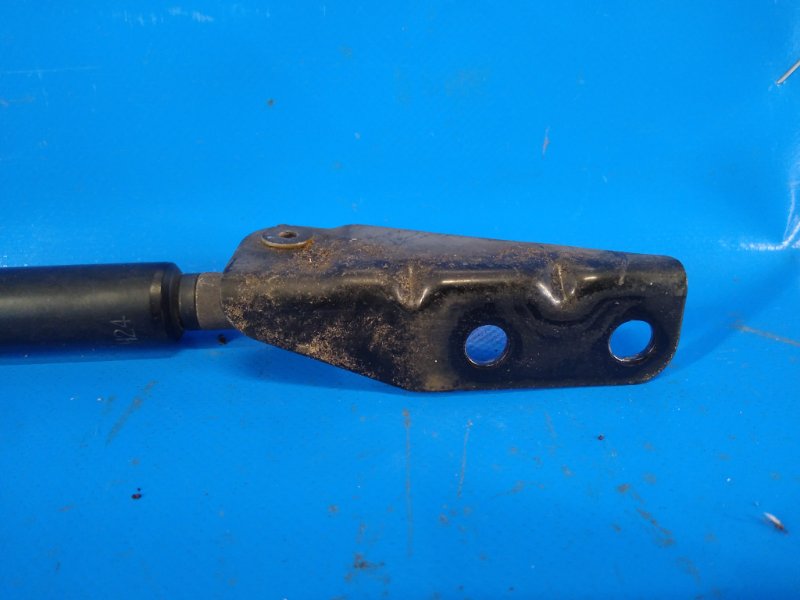 Shock absorber trunk lid SUZUKI SX4 06-13 2008 Left.