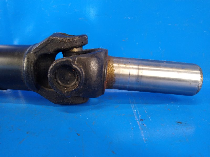 Image alt