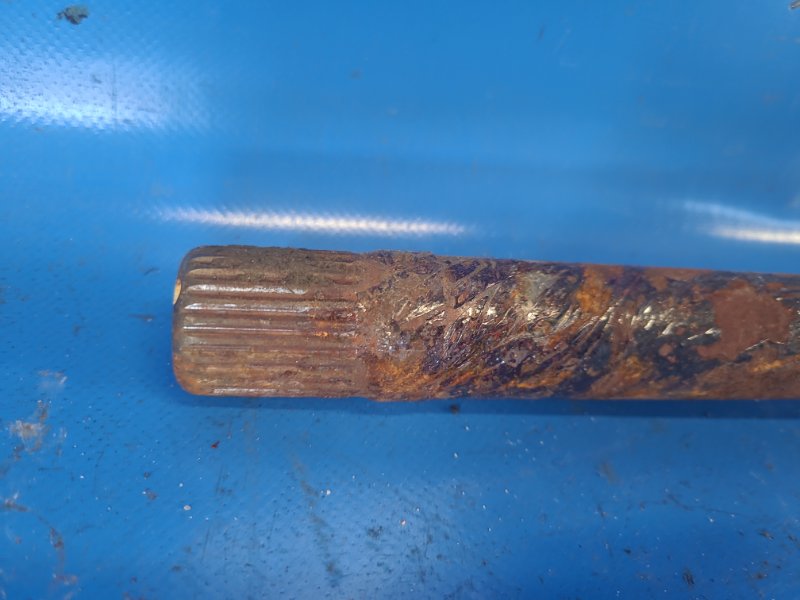 Image alt