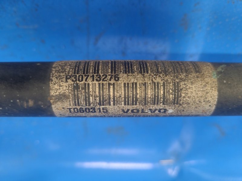 Image alt