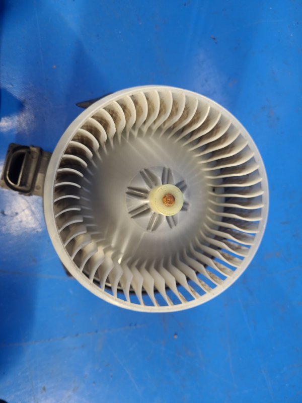 Image alt