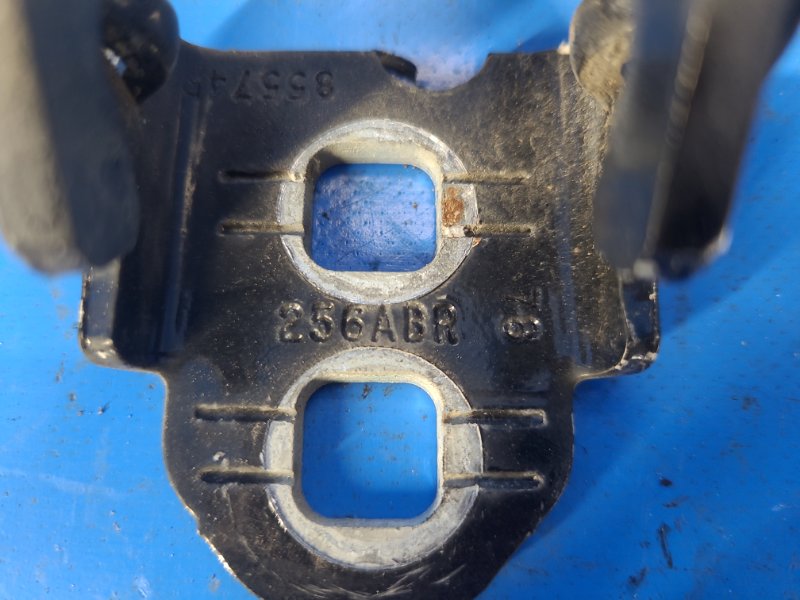 Image alt