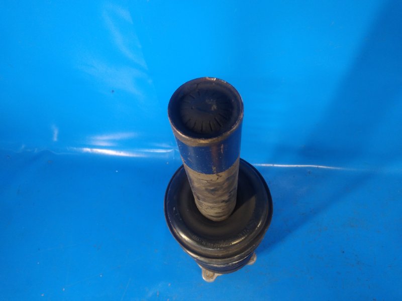Alternatywny tekst obrazu