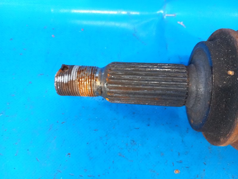 Image alt