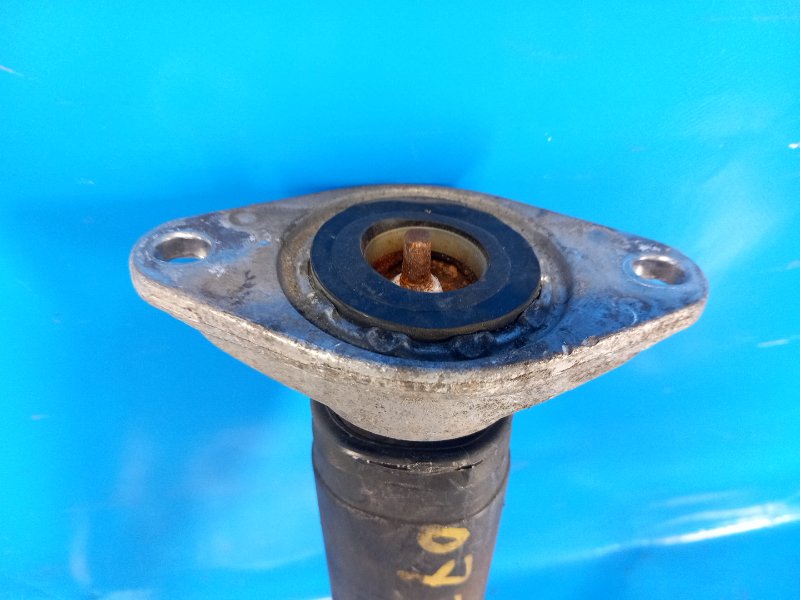 Bild-Alt-Text