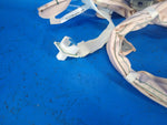 Airbag (curtain) TOYOTA PRIUS - 30 09-17 2010 Right.
