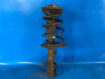 Shock absorber TOYOTA PRIUS PLUS 11-14 2013 Right Front.