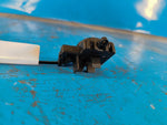 Ford Expedition 2017-2018 steering column adjustment button