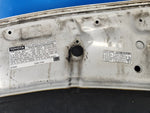 Hood of the Toyota Prius - 30 09-17