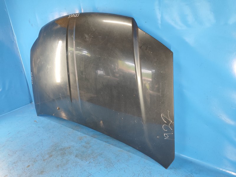 Hood Dodge Grand Caravan 08-2014