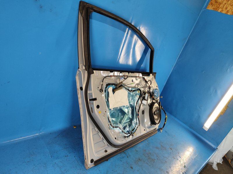 Door LEXUS HS250H (ANF10) 09-12 2009 Left. Front.