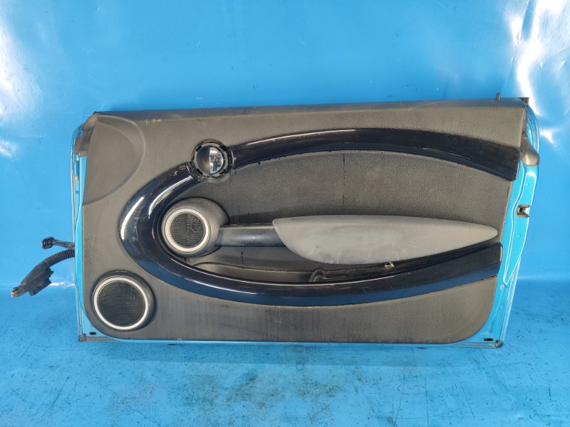 Door MINI COOPER S R56 06-14 2009 Right Front