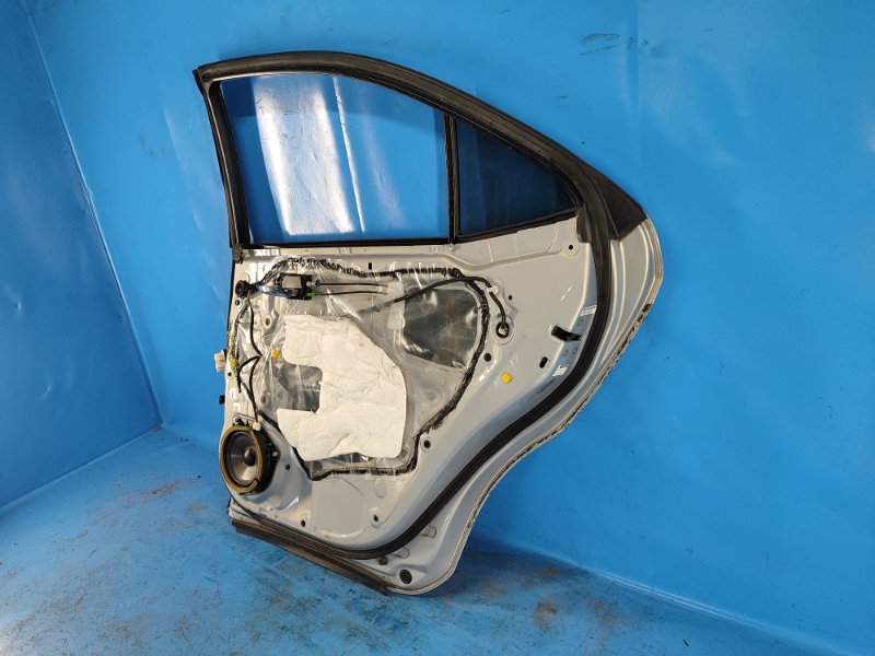 Door LEXUS HS250H (ANF10) 09-12 2009 Right Rear