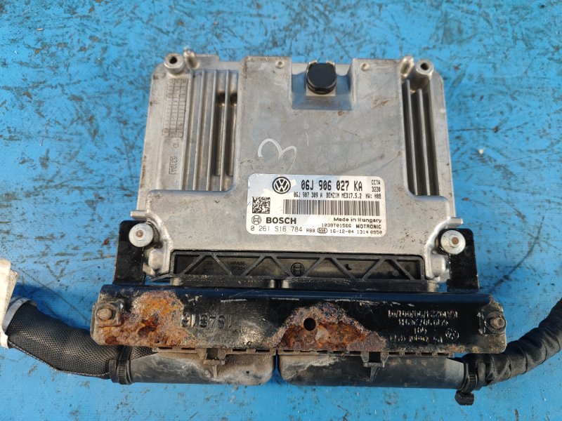 Image alt