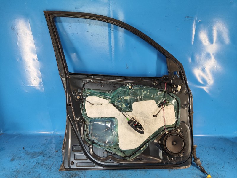 Door TOYOTA RAV4 05-12 Left. Front.
