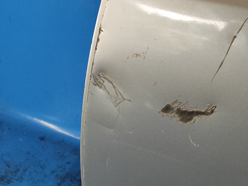 Door TOYOTA RAV4 05-12 Left. Rear.