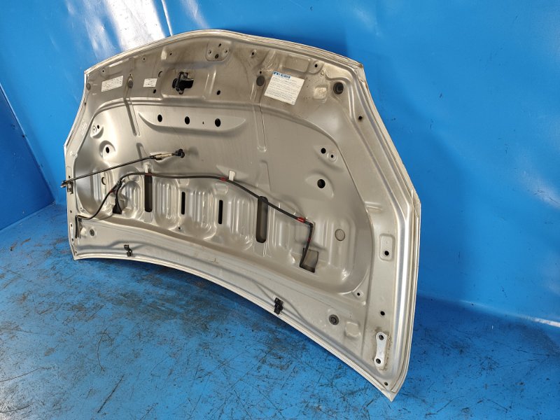 Hood of the Toyota Prius - 30 09-17