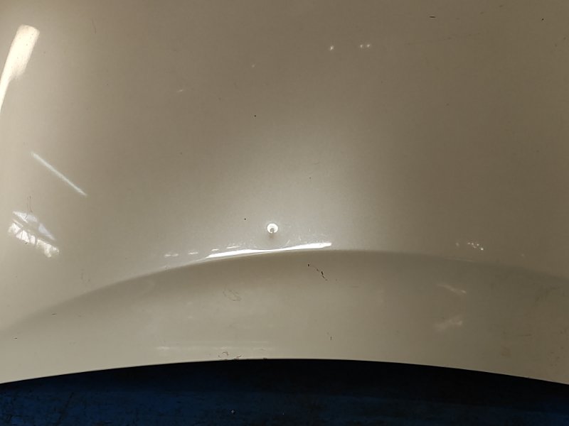 Hood of the Toyota Prius - 30 09-17