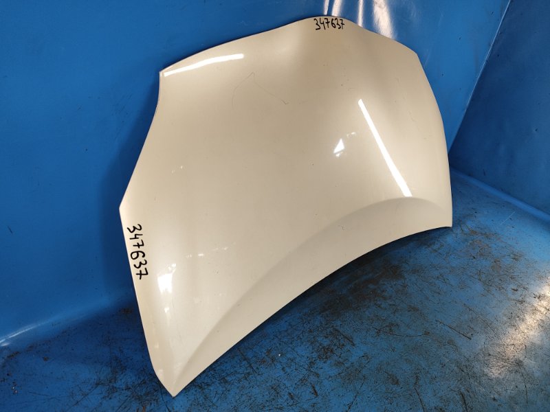 Hood of the Toyota Prius - 30 09-17