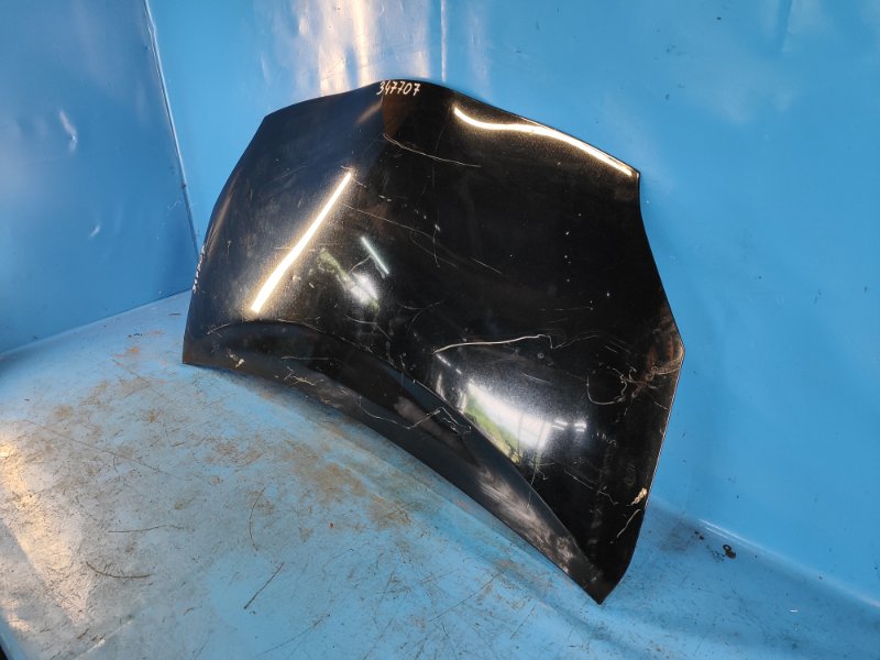 Hood of the Toyota Prius - 30 09-17