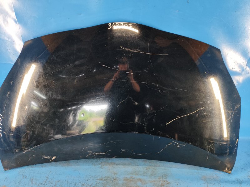 Hood of the Toyota Prius - 30 09-17