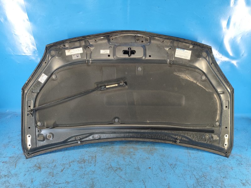 Hood of the Toyota Prius - 30 09-17