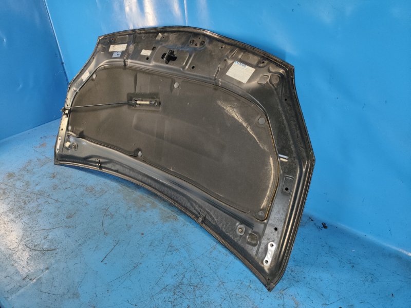 Hood of the Toyota Prius - 30 09-17