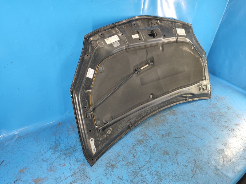 Hood of the Toyota Prius - 30 09-17