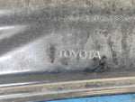 Hood of the Toyota Prius - 30 09-17