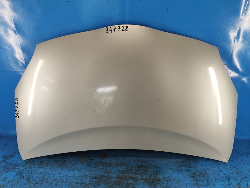 Hood of the Toyota Prius - 30 09-17