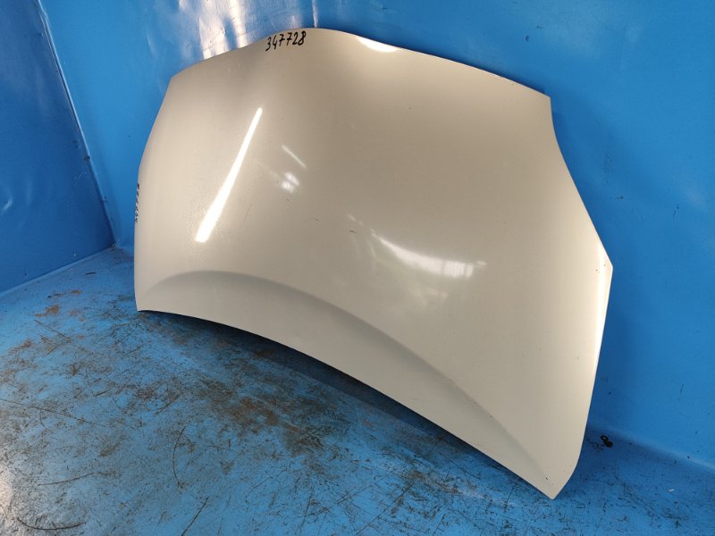 Hood of the Toyota Prius - 30 09-17