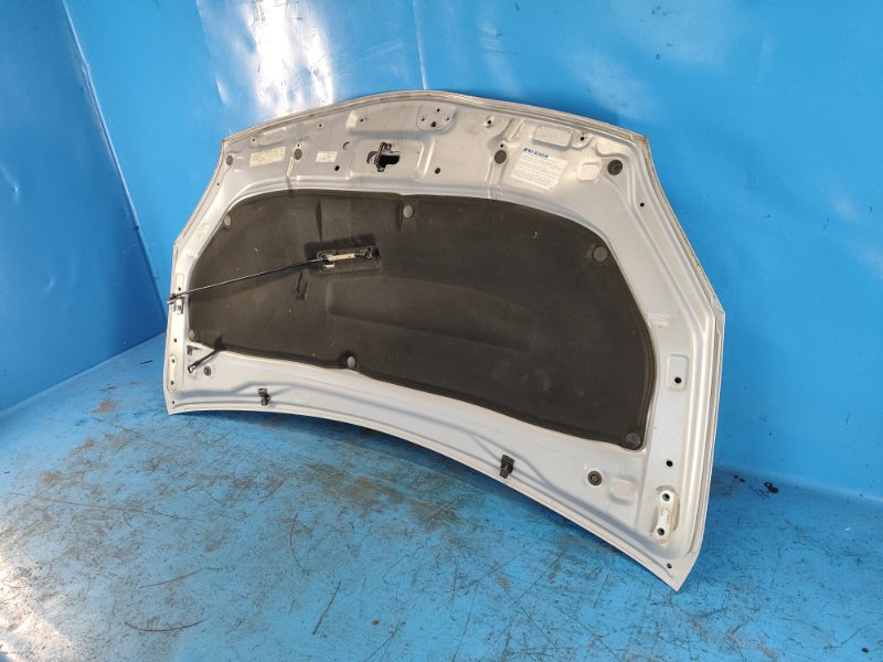 Hood of the Toyota Prius - 30 09-17