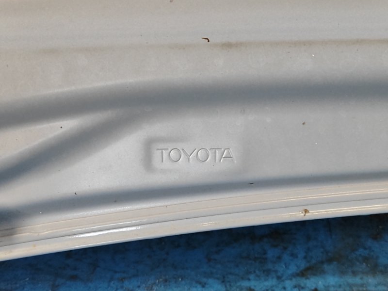 Hood of the Toyota Prius - 30 09-17