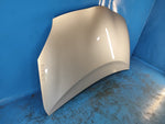 Hood of the Toyota Prius - 30 09-17