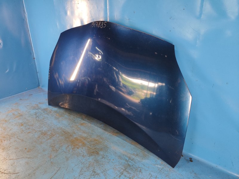 Hood of the Toyota Prius - 30 09-17
