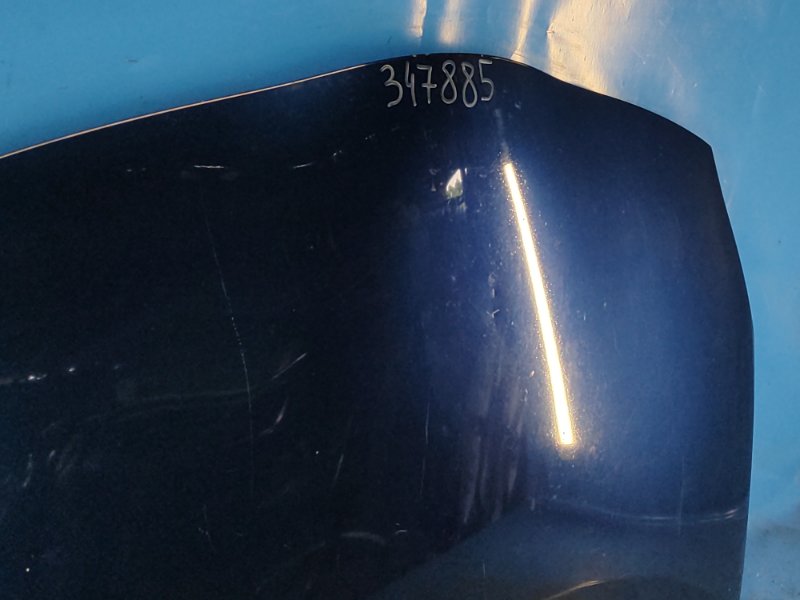 Hood of the Toyota Prius - 30 09-17