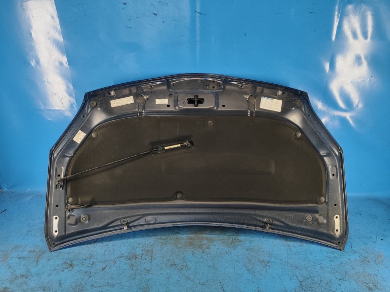 Hood of the Toyota Prius - 30 09-17