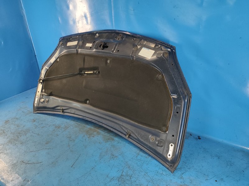 Hood of the Toyota Prius - 30 09-17